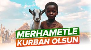 1 Little Head Sacrifice - 2.jpg