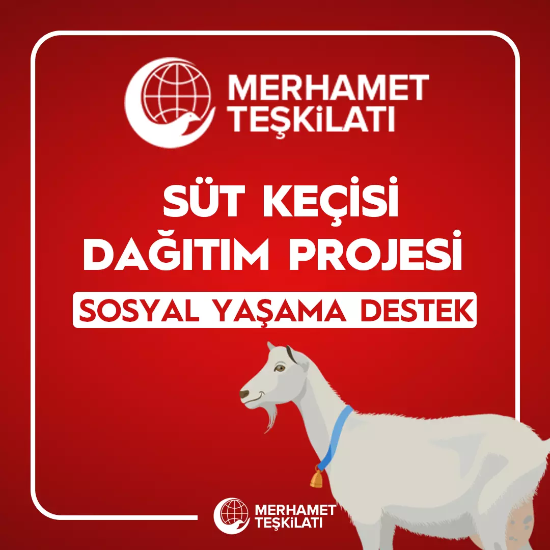 Süt Keçisi Dağıtımı