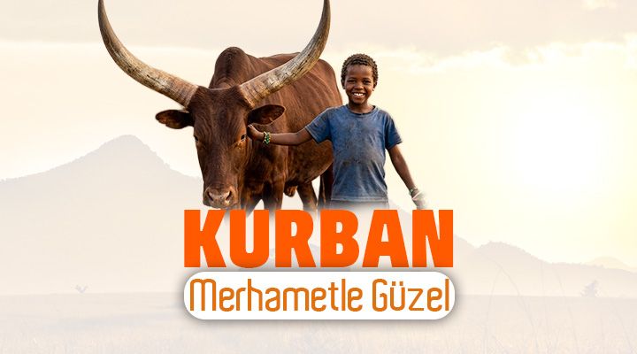 Büyükbaş Kurban Hissesi